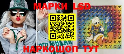 стаф Шелехов