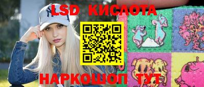 стаф Шелехов