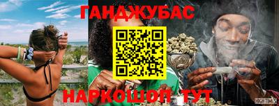 стаф Шелехов