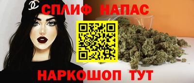 стаф Шелехов