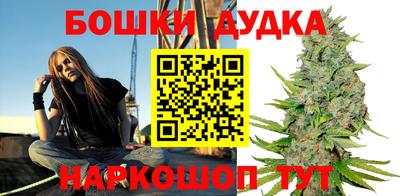 стаф Шелехов