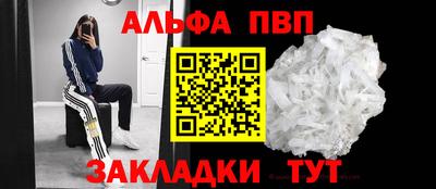 стаф Шелехов