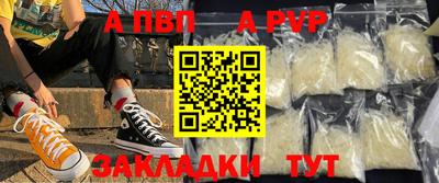 стаф Шелехов