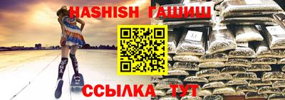 стаф Шелехов