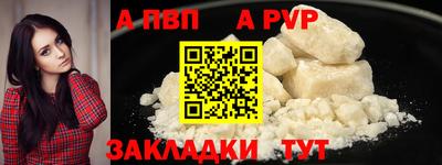 стаф Шелехов