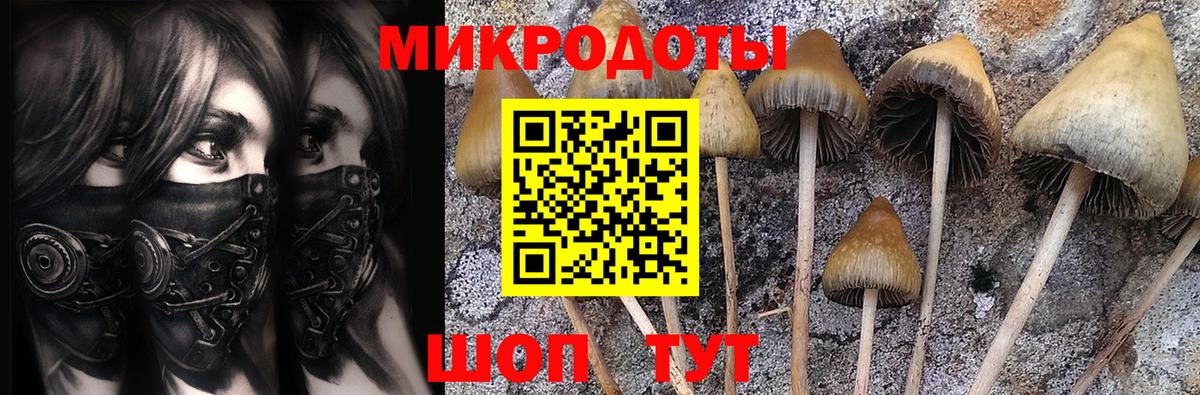 наркошоп  Галлюциногенные грибы MAGIC MUSHROOMS  Вход с VPN  Соликамск 